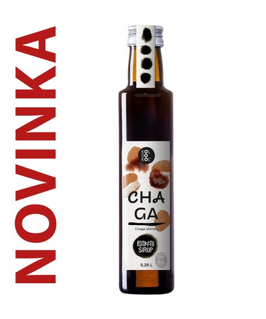Obrázek (1)