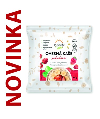 Obrázek (1)